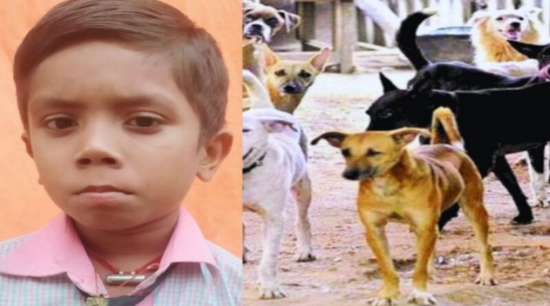समस्तीपुर में आवारा कुत्ते ने फिर एक किशोर को नोचकर मार डाला,आगजनी