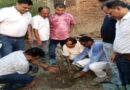 वैभव सूर्यवंशी के नाम लगे 252 पौधा, IPL में 252 रन बनने की ख़ुशी में लगाया पौधा
