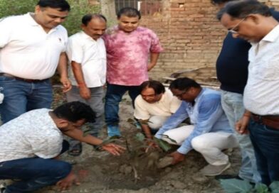 वैभव सूर्यवंशी के नाम लगे 252 पौधा, IPL में 252 रन बनने की ख़ुशी में लगाया पौधा