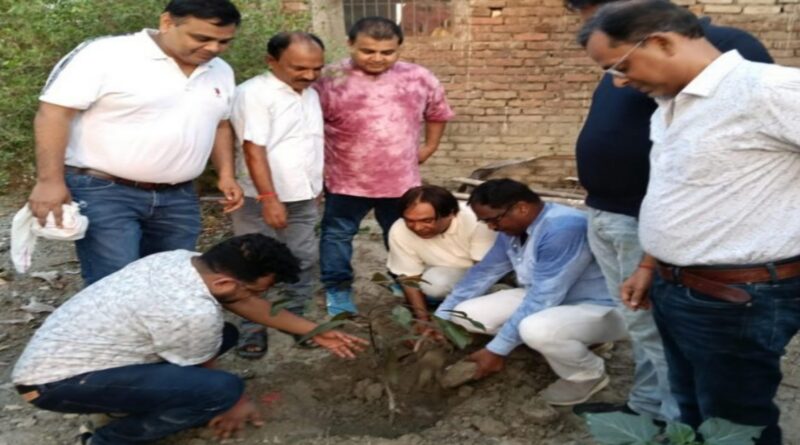 वैभव सूर्यवंशी के नाम लगे 252 पौधा, IPL में 252 रन बनने की ख़ुशी में लगाया पौधा
