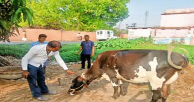 मोबाइल वैन बनी चलता फिरता पशु अस्पताल, गांव-गांव पहुंच रहा इलाज