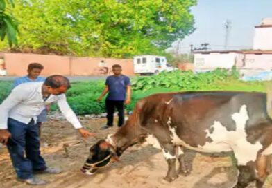 मोबाइल वैन बनी चलता फिरता पशु अस्पताल, गांव-गांव पहुंच रहा इलाज