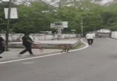 पूर्व मंत्री आवास के बाहर मिली नाबालिग लड़की की लाश:डॉग स्क्वायड ने 1km किया सर्च