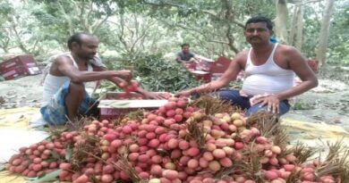 रेलवे 15 मई से लीची पार्सल बुकिंग शुरू करेगा: अलग-अलग राज्यों में ट्रेन से भेजा जाएगा