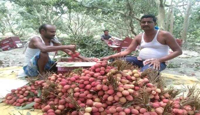 रेलवे 15 मई से लीची पार्सल बुकिंग शुरू करेगा: अलग-अलग राज्यों में ट्रेन से भेजा जाएगा