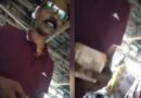 पुलिस का रूपये लेने का विडिओ वायरल,एसपी ने किया निलंबित  