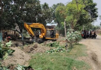 बगहा में नहर सफाई के दौरान हजारों पेड़ों की हो रही कटाई