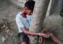 समस्तीपुर:प्रेम प्रसंग में युवक की पेड़ से बांधकर पीटाई,वीडियो वायरल 