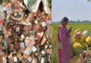 सड़क किनारे 30 बोरा सरकारी दवा फेका मिला,स्वास्थ्य विभाग में मचा हड़कंप