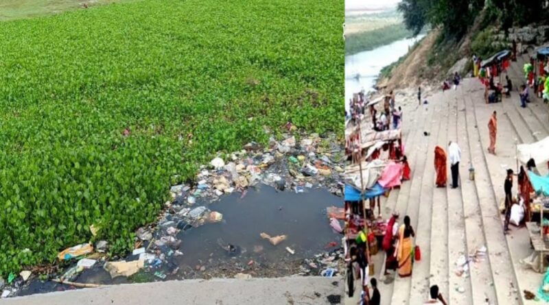झमटिया गंगा घाट पर गंदगी का अंबार,जलकुंभी-कचरे के बीच स्नान..