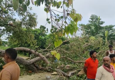 पूजा के दौरान पीपल की डाल गिरा,दो बच्चों की मौत, आठ लोग घायल