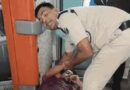 गयाजी जंक्शन पर RPF जवान ने बचाई यात्री की जान:हार्ट अटैक से बेहोश हुए व्यक्ति को दिया CPR