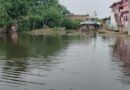 गंगा का जलस्तर स्थिर,फिर भी राघोपुर में बाढ़ का कहर बरकरार, 37 स्कूल बंद