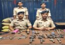 झाड़ियों में चल रही थी अवैध मिनी गन फैक्ट्री,हथियारों का जखीरा बरामद