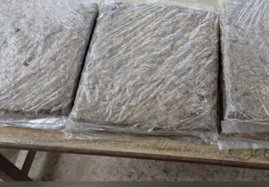 बेगूसराय में वाहन चेकिंग के दौरान 10 किलो गांजा बरामद, दो तस्कर गिरफ्तार