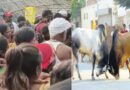 Samastipur:सांड के हमले में घायल मजदूर की पटना में मौत