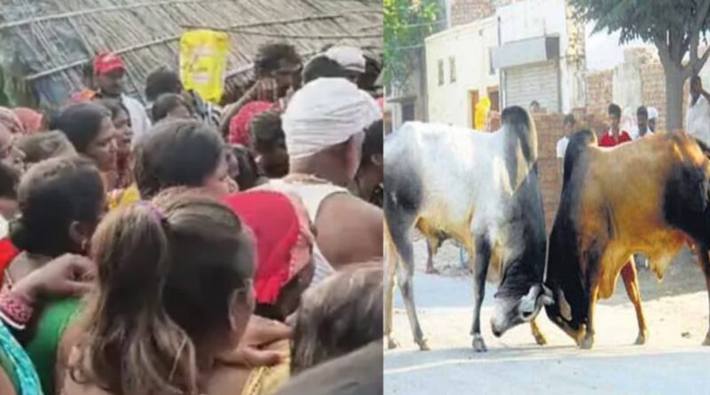 Samastipur:सांड के हमले में घायल मजदूर की पटना में मौत