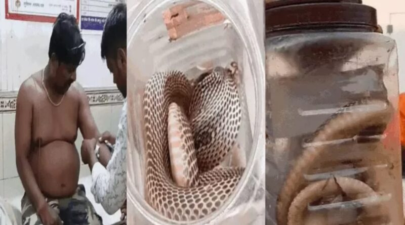 कोबरा लेकर समस्तीपुर हॉस्पिटल पहुंचा युवक, बोला-डॉक्टर साहब, बचा लीजिए