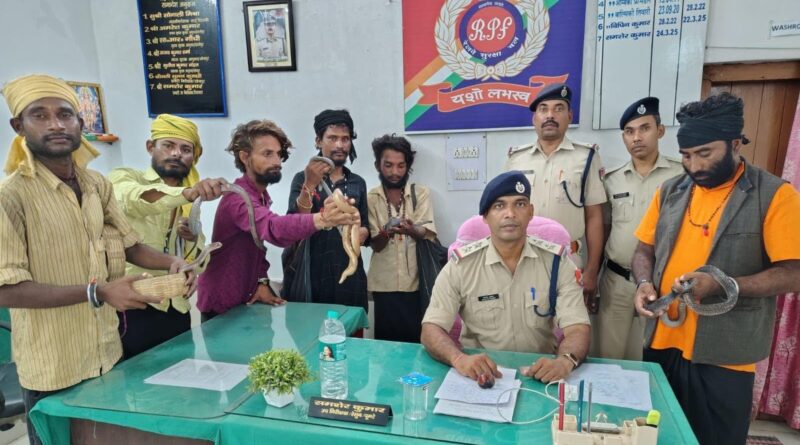 जनसेवा एक्सप्रेस में सांप दिखाकर यात्रियों से पैसे मांगने वाले 06 सपेरा गिरफ्तार जनसेवा एक्सप्रेस में सांप दिखाकर यात्रियों से पैसे मांगने वाले 06 सपेरा गिरफ्तार