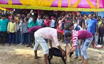 आतापुर दुर्गा मंदिर में बलि के दौरान उमड़े श्रद्धालु:मां भगवती के जयकारों से गूंजा परिसर
